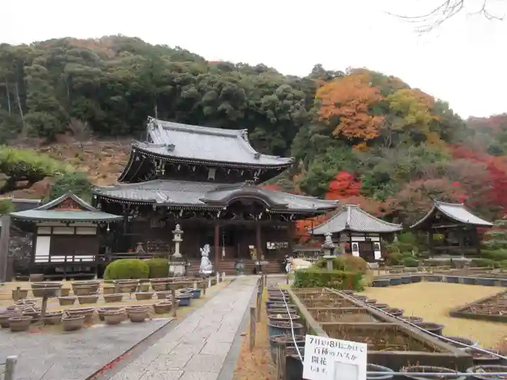 三室戸寺(京都府)