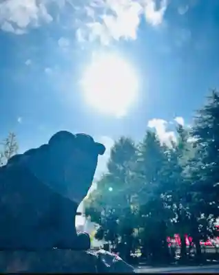 浅草神社の狛犬