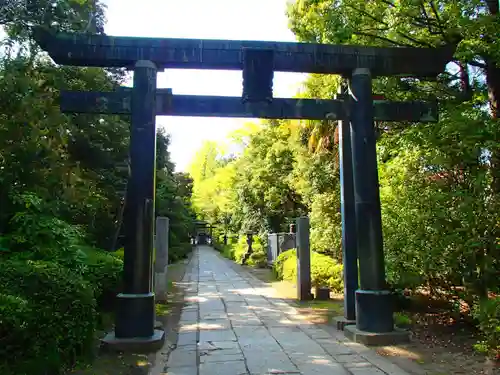 春日部八幡神社の鳥居