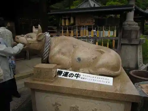 三室戸寺の狛犬