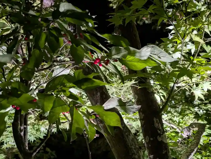 真照寺(福島県)
