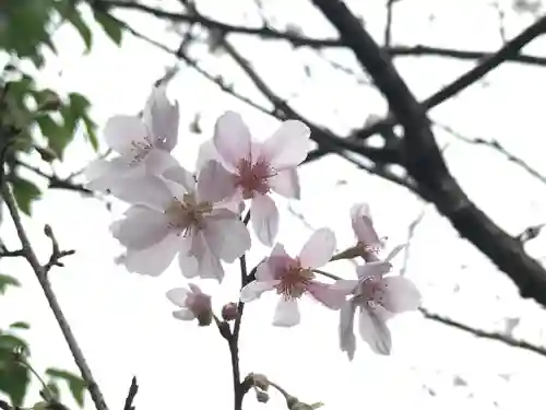 検見川神社の自然