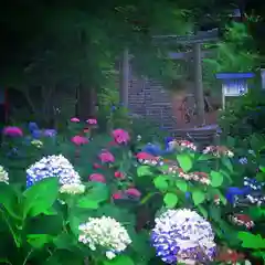 吉備津彦神社の自然