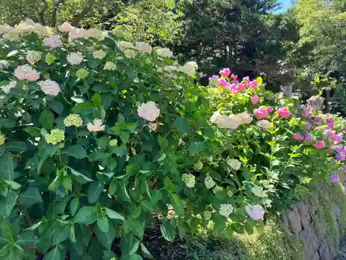 有珠善光寺(北海道)