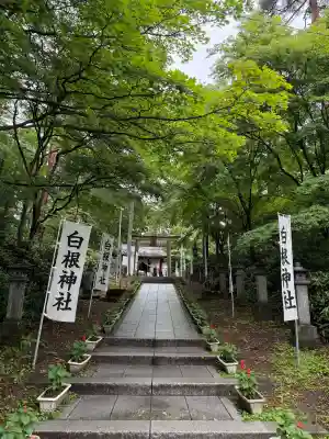 白根神社(群馬県)