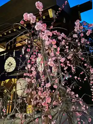 東京大神宮(東京都)