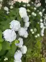 Rさんのプロフィール画像