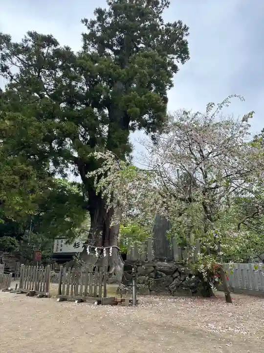 筑波山神社(茨城県)