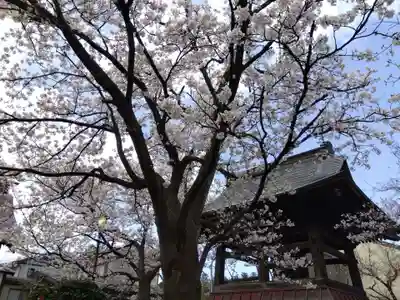 性宗寺(新潟県)