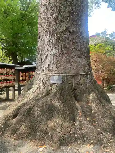冠稲荷神社(群馬県)