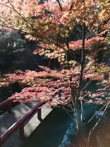 間々田八幡宮の庭園