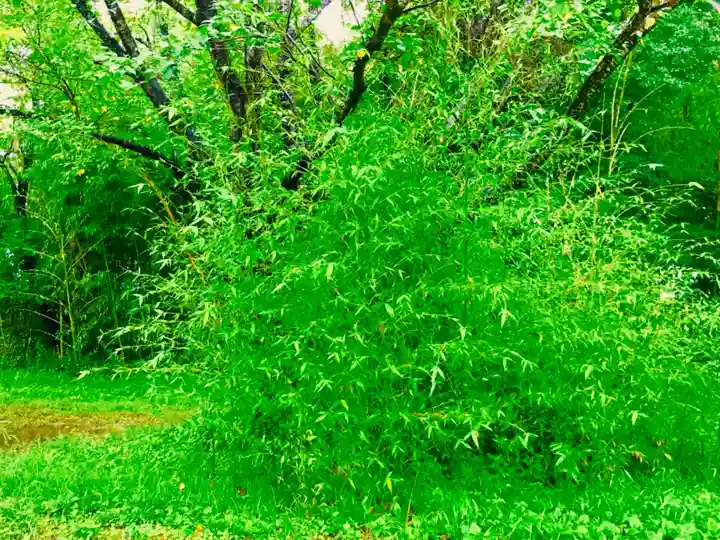 女化神社(茨城県)