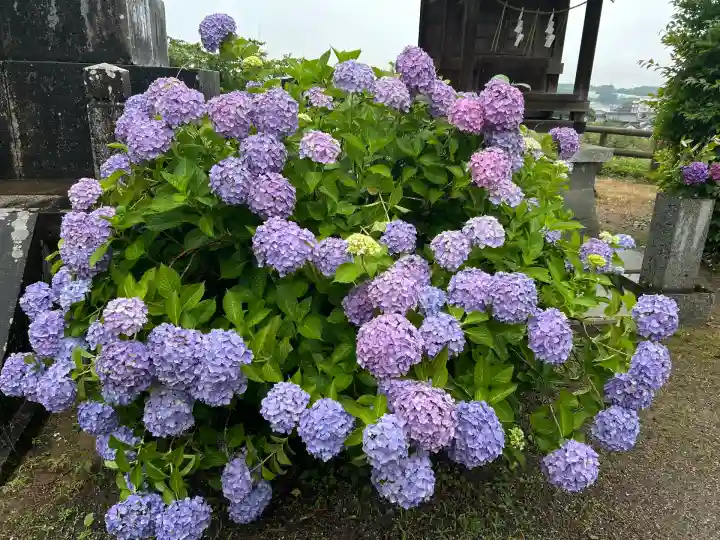 粟井神社(香川県)