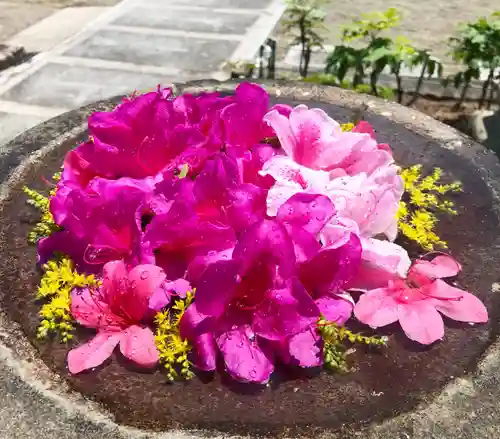 真言宗　善通寺派　薬王寺の手水