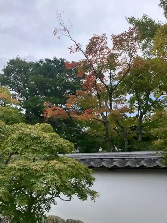 満願寺(兵庫県)