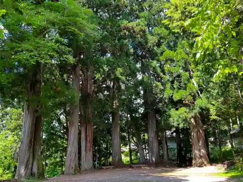 戸隠神社火之御子社(長野県)