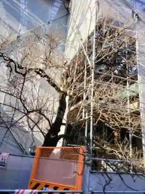 月窓寺(東京都)