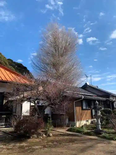 千手院のその他建物