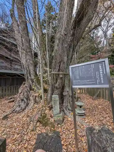 小室浅間神社(山梨県)