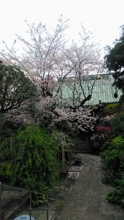 成覚寺の本殿・本堂