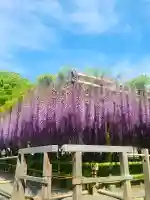 平等院の{uncategorized: "未分類", other: "その他", undefined: "問題あり", building: "その他建物", grave: "お墓", sacred_gate: "鳥居", guardian: "狛犬", statue: "像", buddha: "仏像", history: "歴史", nature: "自然", garden: "庭園", animal: "動物", pagoda: "塔", temizu: "手水舎", mountain_gate: "山門・神門", sanctuary: "本殿・本堂", subordinate: "末社・摂社", art: "芸術", scenery: "景色", jizo: "地蔵", ema: "絵馬", goshuin: "御朱印", omikuji: "おみくじ", items: "授与品その他", amulet: "お守り", goshuincho: "御朱印帳", eats: "食事", festival: "お祭り", votive_dance: "神楽", shichigosan: "七五三参", wedding: "結婚式", experience: "体験その他", initially: "初詣", around: "周辺", anti_infection: "感染症対策"}