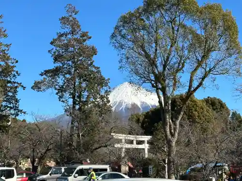 富士山本宮浅間大社(静岡県)