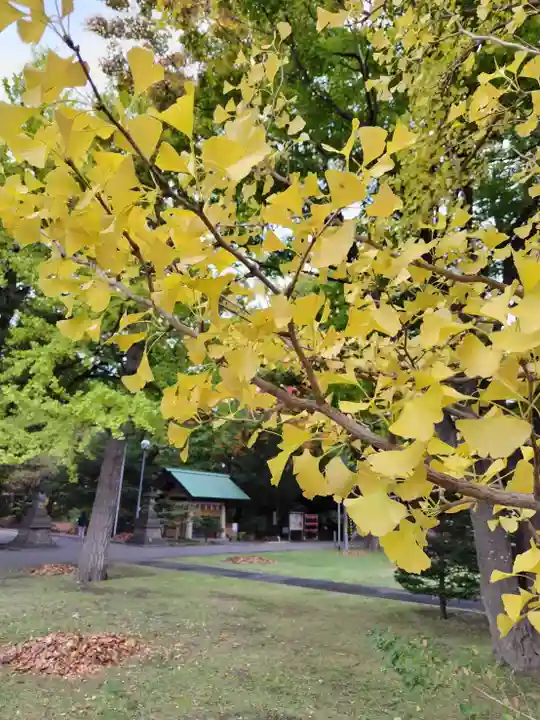厚別神社(北海道)