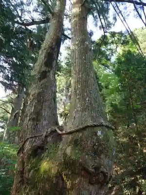 玉置神社(奈良県)