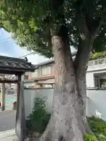 明星大神宮(大阪府)