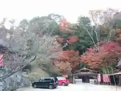 川見薬師寺の景色