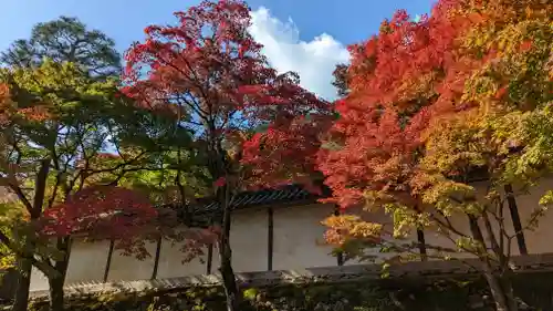 二尊院(京都府)