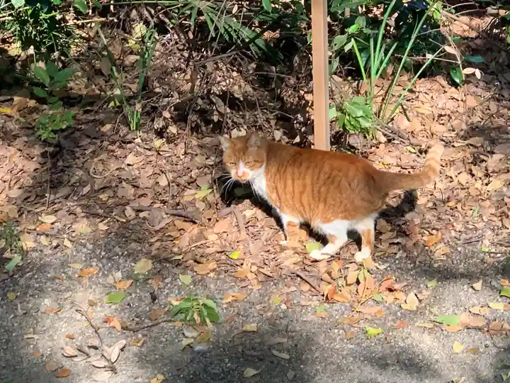 熱田神宮の動物