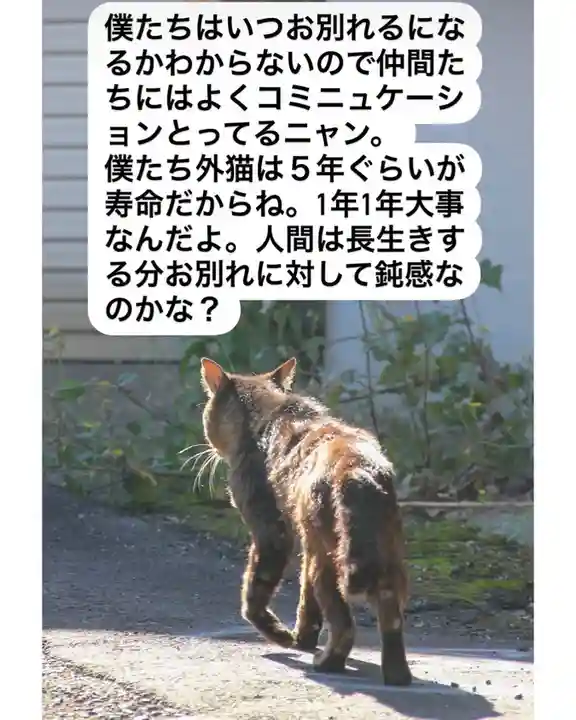 専念寺(大阪府)