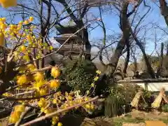 上野東照宮の建物その他