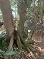 宇迦神社(千葉県)