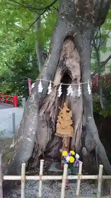 秩父今宮神社(埼玉県)