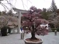 小國神社(静岡県)