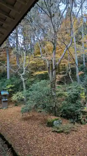 三千院門跡(京都府)