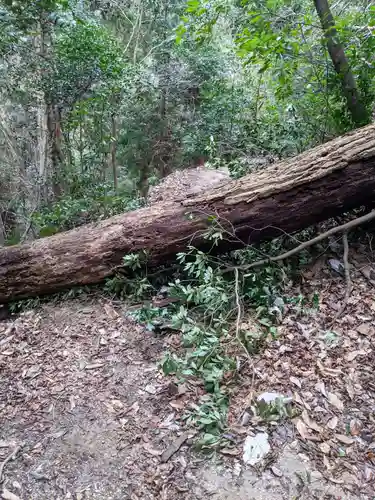 猿投神社の周辺