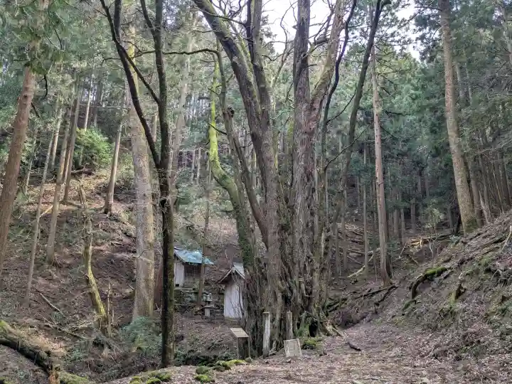 井戸神社の{uncategorized: "未分類", other: "その他", undefined: "問題あり", building: "その他建物", grave: "お墓", sacred_gate: "鳥居", guardian: "狛犬", statue: "像", buddha: "仏像", history: "歴史", nature: "自然", garden: "庭園", animal: "動物", pagoda: "塔", temizu: "手水舎", mountain_gate: "山門・神門", sanctuary: "本殿・本堂", subordinate: "末社・摂社", art: "芸術", scenery: "景色", jizo: "地蔵", ema: "絵馬", goshuin: "御朱印", omikuji: "おみくじ", items: "授与品その他", amulet: "お守り", goshuincho: "御朱印帳", eats: "食事", festival: "お祭り", votive_dance: "神楽", shichigosan: "七五三参", wedding: "結婚式", experience: "体験その他", initially: "初詣", around: "周辺", anti_infection: "感染症対策"}