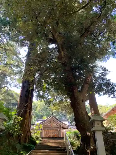 気多神社の建物その他