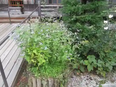 法善寺(埼玉県)