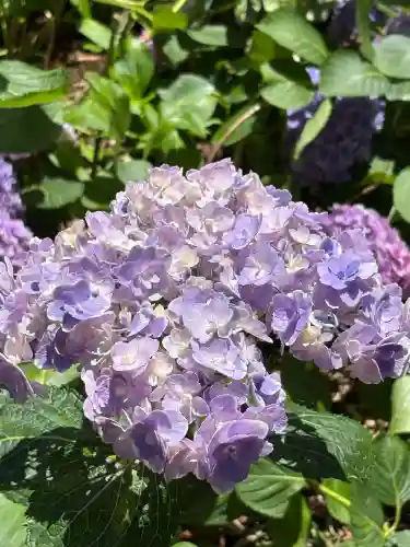 市杵島神社（高萩八幡宮境内社）(茨城県)