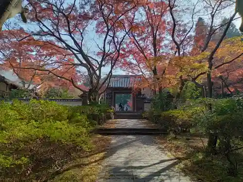 延命寺の山門