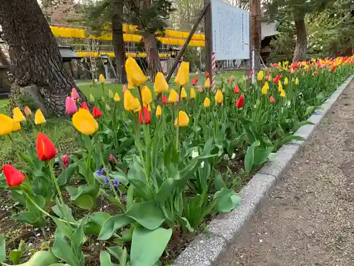 青森縣護國神社(青森県)