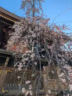 湯島天満宮(東京都)
