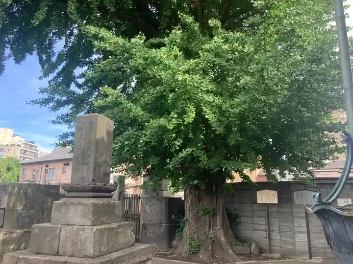 法禅寺(東京都)