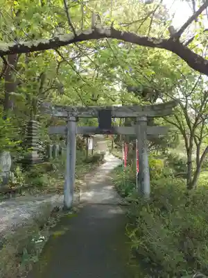 唐松山　護国寺の鳥居