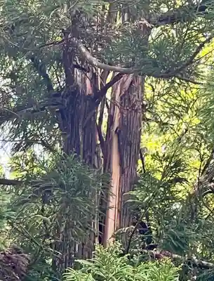 蚊里田八幡宮(長野県)