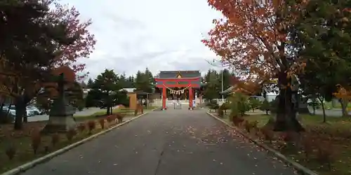 美瑛神社の鳥居